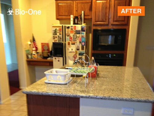 After Kitchen Top Hoarding Cleanup in Madison